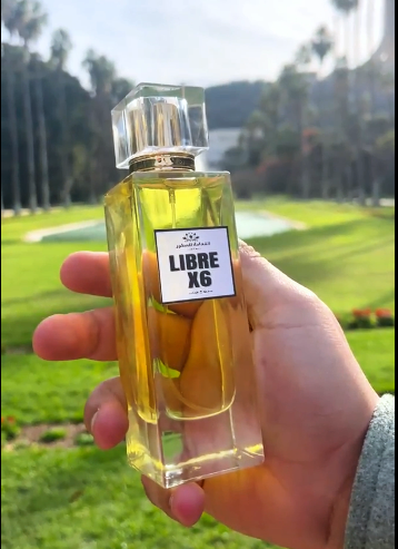 LIBRE X6