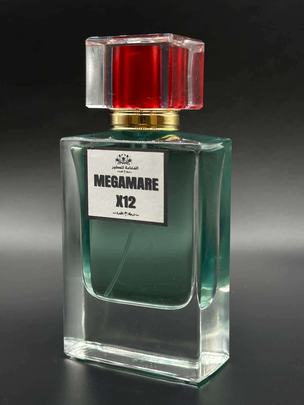 MEGAMARE X12
